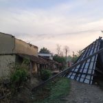 हावाहुरीले रुख ढल्दा कैलालीमा एक जनाको मृत्यु, लाखाैकाे क्षति