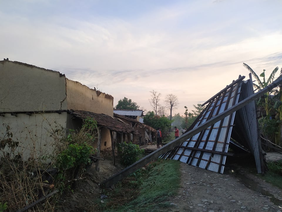 हावाहुरीले रुख ढल्दा कैलालीमा एक जनाको मृत्यु, लाखाैकाे क्षति