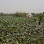कैलालीको बेहडाबाबा ताललाई पर्यटकीय गन्तव्य बनाइने