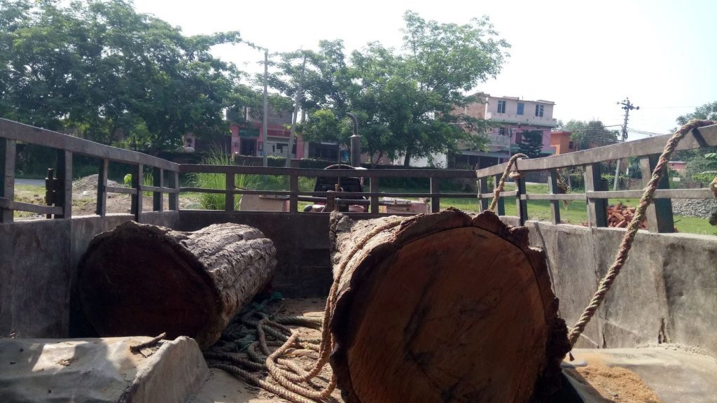 कैलालीमा अवैध काठ र ट्याक्टर सहित एक जना पक्राउ
