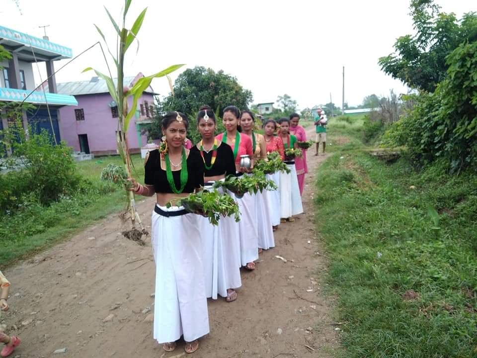 थारु लोक पर्व अस्टिम्की कृस्टल पार्टी प्यालेस मा मनाइने