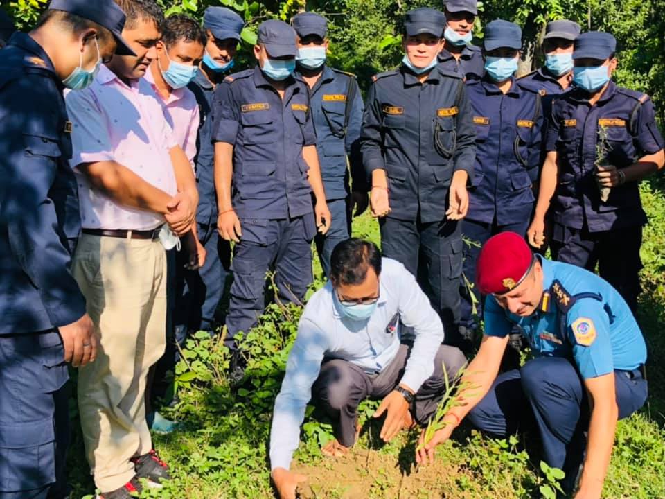 कैलालीमा  सुरु भयाे ‘राष्ट्र सेवक कर्मचारी वृक्षारोपण अभियान’