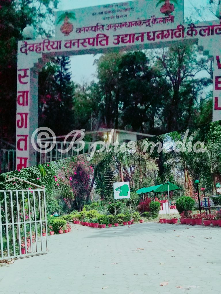 लकडाउनको लामो समयपछि देवरिया वनस्पति उद्यान , जखौर ताल खुल्यो