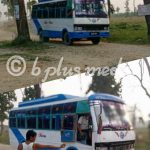 लालझाडी गाउँपालिकामा पहिलो पटक सार्बजनिक बस संचालनमा