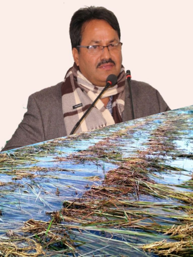 पुर्व सिँचाइ मन्त्री साउँद: बाढीले अन्नबालीमा असर गरेका किसानलाई क्षतिपूर्ति दिन सरकारसँग माग