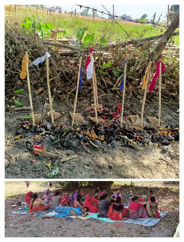 कैलाली कंचनपुरमा रानाथारुले चैतको चराई मनाउदै (फोटो फिचर)