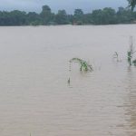 बाढीले कैलालीका हजार बढी घर डुबानमा