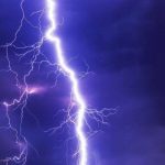 लालझाडीमा चट्याङले गोरुको मृत्यु