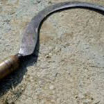 कैलालीमा नातीमाथि बाजेले गरे हँसिया प्रहार