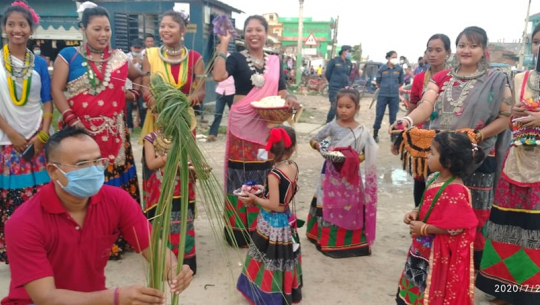 थारु समुदायमा आज ‘गुरही’ पर्व मनाइँदै