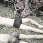 गौरीगंगाकाे लिक्मा नदीमा डुबेर सहोदर दाजुभाइको गयो ज्यान