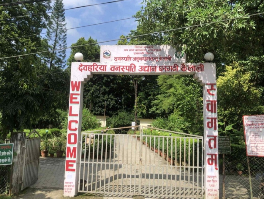 आ.व. ०८१/८२ मा देवहरिया वनस्पति उद्यानले २४ लाख राजस्व संकलन