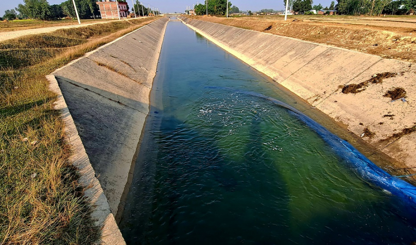 कञ्चनपुरमा ३९ सय मिटर सिँचाइ कुलो निर्माण